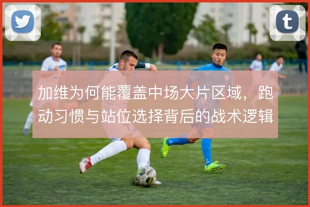 加维为何能覆盖中场大片区域,跑动习惯与站位选择背后的战术逻辑