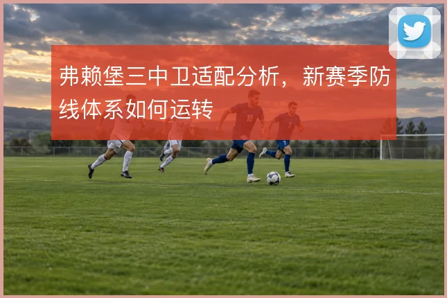 弗赖堡三中卫适配分析，新赛季防线体系如何运转