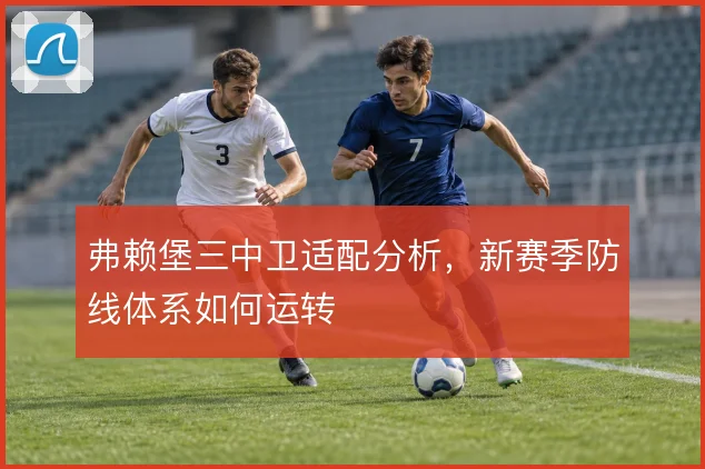 弗赖堡三中卫适配分析，新赛季防线体系如何运转