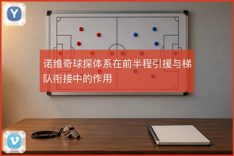 诺维奇球探体系在前半程引援与梯队衔接中的作用