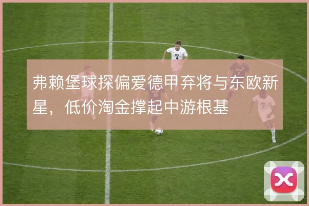 弗赖堡球探偏爱德甲弃将与东欧新星，低价淘金撑起中游根基
