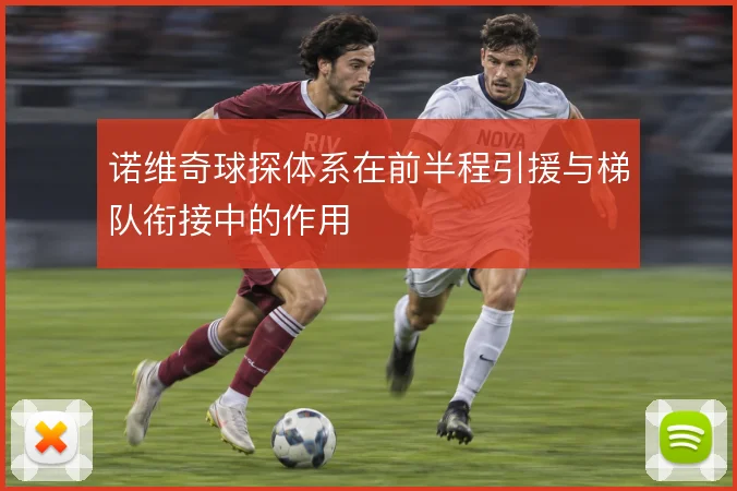 诺维奇球探体系在前半程引援与梯队衔接中的作用